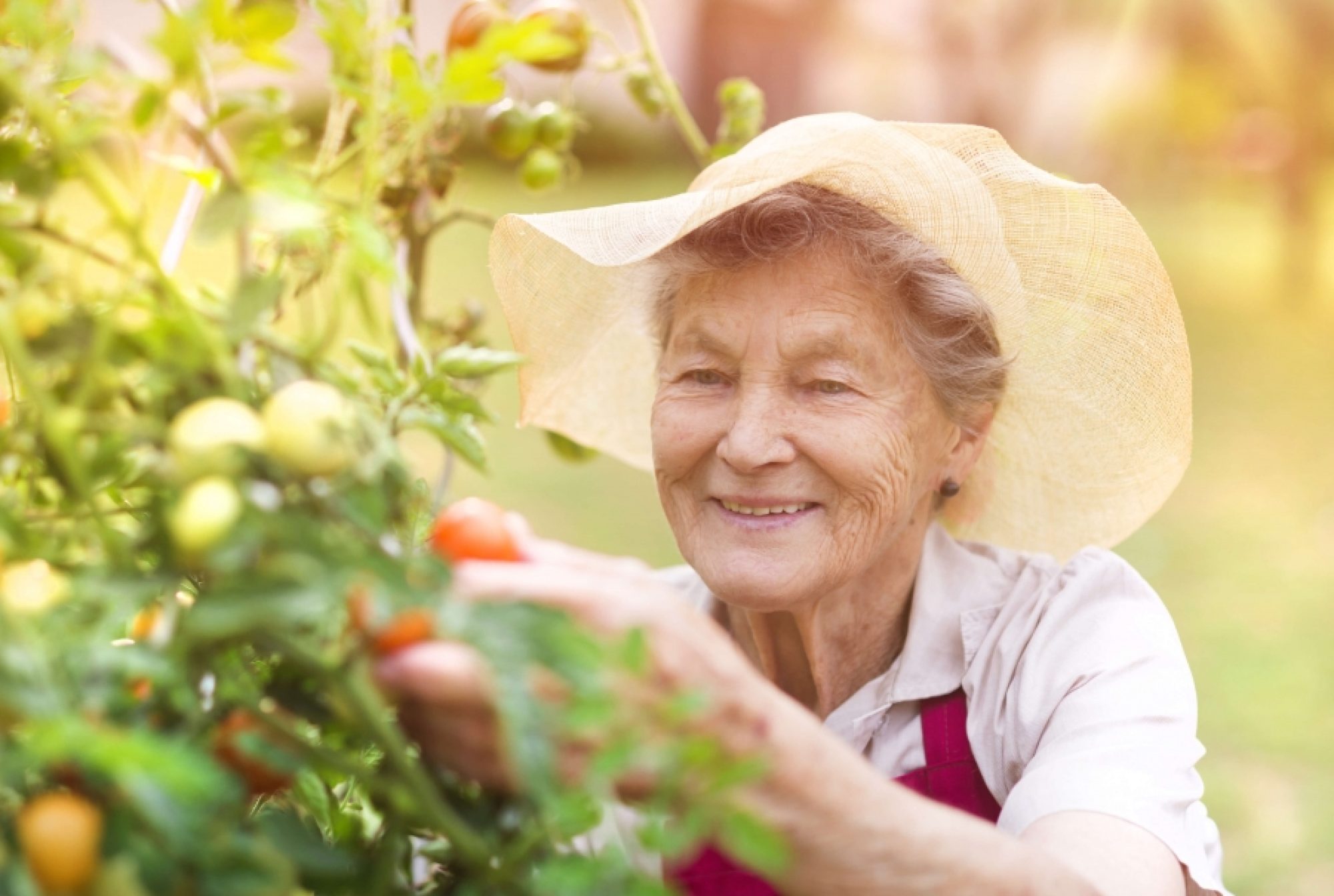 Terapii alternative pentru Alzheimer: Cat de util poate fi gradinaritul?